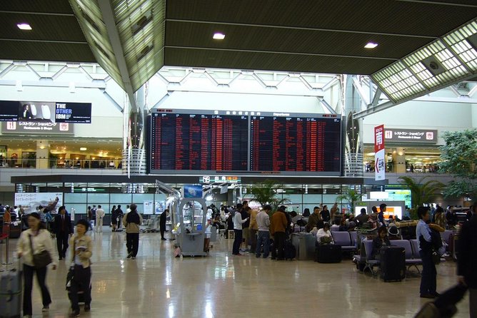 Private Arrival Transfer : Narita International Airport to Tokyo Disney - Who will get the most from this transfer