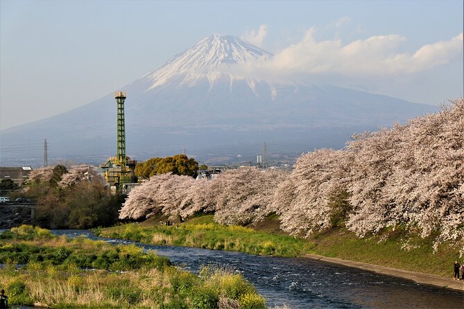 Private Car for Mt. Fuji 5th Station and more (customizable) - Oshino Ninja Village: gardens, photos, and optional play