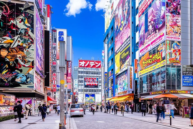 Private Car Tour for Anime Manga Game and Otaku Tour in Tokyo - Who will enjoy this tour most