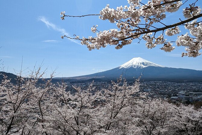 Private Car Tour to Mt. Fuji Lake Kawaguchiko or Hakone - Key points before you book