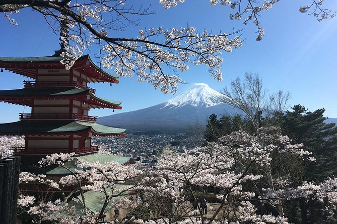 Private Car Tour to Mt. Fuji Lake Kawaguchiko or Hakone - Oshino Hakkai and the ninja village