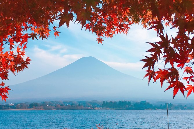 Private Car Tour to Mt. Fuji Lake Kawaguchiko or Hakone - Sake, fruit, caves, and the Aokigahara forest