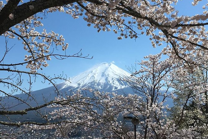 Private Car Tour to Mt. Fuji Lake Kawaguchiko or Hakone - Ropeways, museums, and the five-lake alternatives