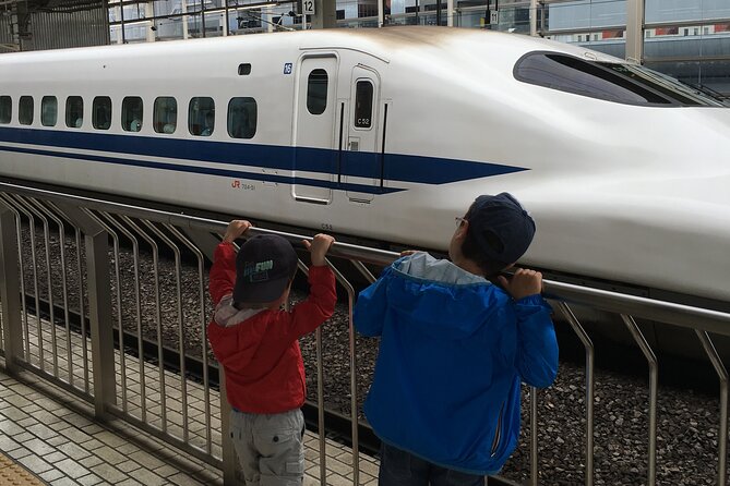 Private Car transfer from Narita airport to Tokyo - Who will get the most from this transfer