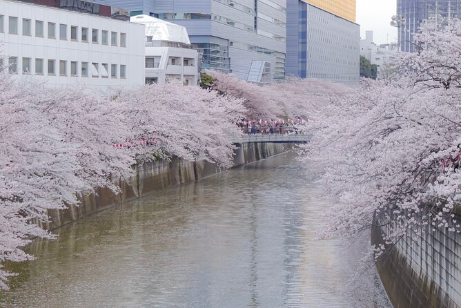 Private Custom Tour: Tokyo in a Day - Asakusa and Senso-ji
