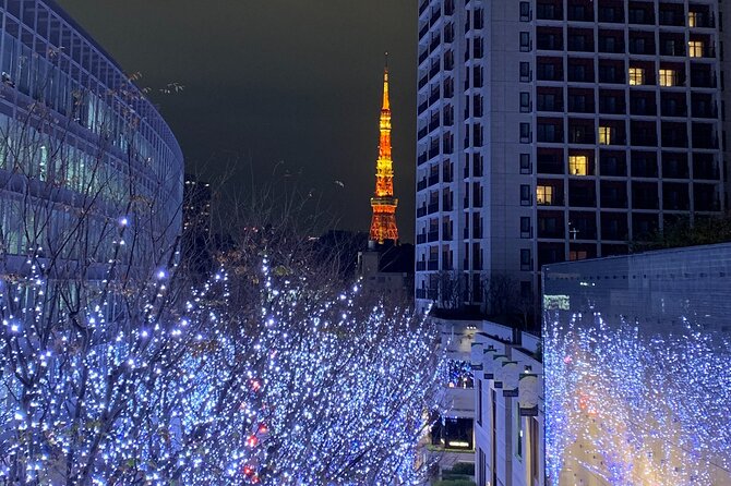 Private Custom Tour: Tokyo in a Day - Public Transit or Private Vehicle?