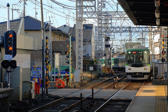 Private Day Tour In Tokyo with a Native English Speaker - A private way to get your Tokyo bearings