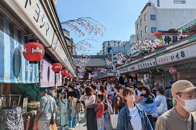 Private Day Tour In Tokyo with a Native English Speaker - The custom option is the real selling point