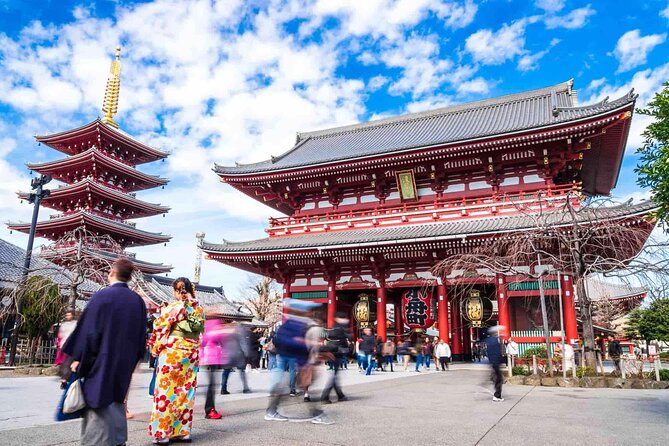 Private Departure Tour from Hotel/Airport/Cruise (5-6 Hrs) - Tokyo sightseeing that also solves the luggage problem