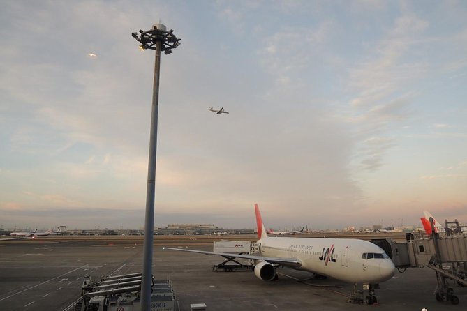 Private Departure Transfer : Tokyo Disney to Haneda International Airport - Baggage limits deserve attention