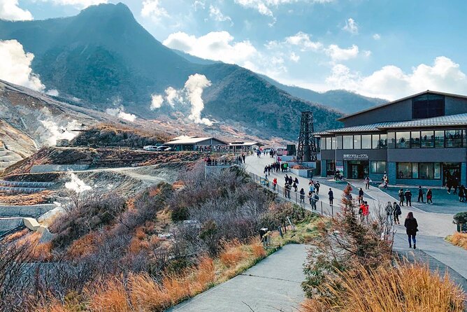 Private Fuji Hakone Tour Charter with English Speaking Driver - What this private Fuji and Hakone tour really offers