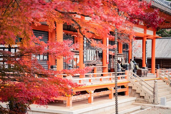 Private Full-Day Kamakura-Enoshima Tour with Bilingual Driver - The Great Buddha: Kamakura’s essential first look
