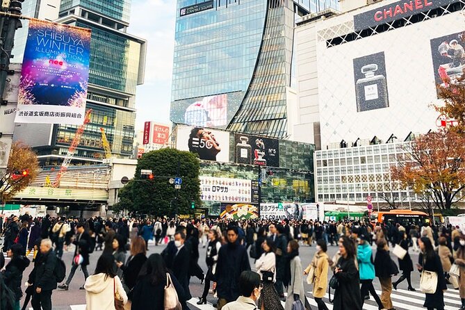 Private Full-day Tokyo Walking Subway Tour by Japan Gray Line - Tsukiji Outer Market for food and local texture
