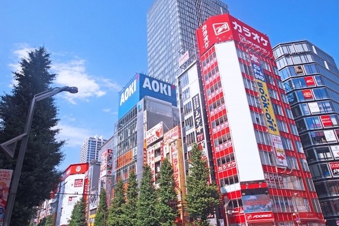 Private Full-Day Tour of Tokyo with Hotel Pickup - Akihabara, from electronics to anime culture