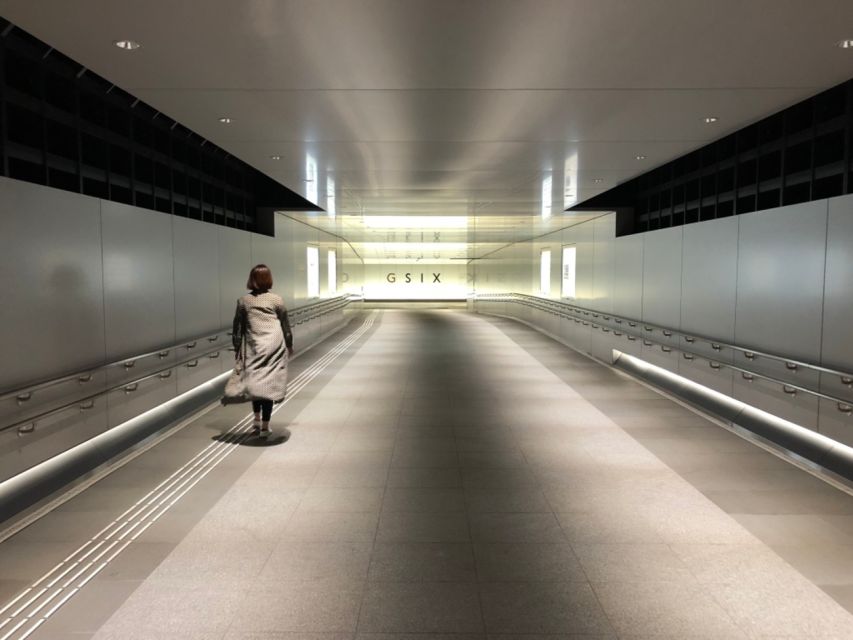 Private Ginza Architecture Tour - What $129 Per Person Buys You