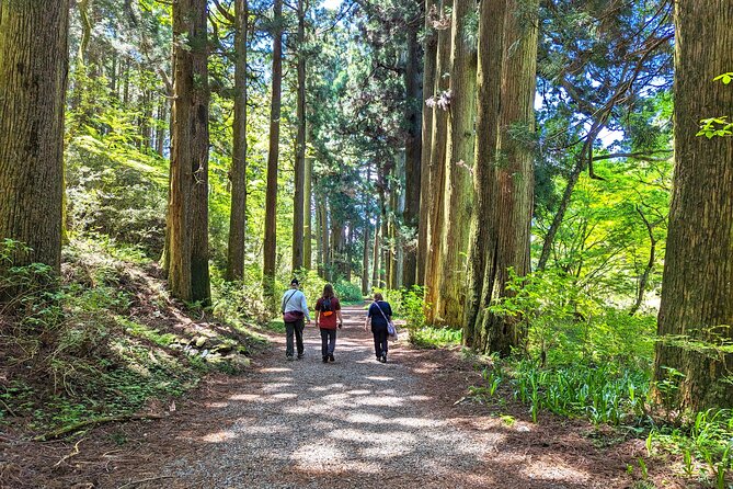 Private Hakone Tour - View of Mt. Fuji, Nature and Culture - Why this private Hakone day works