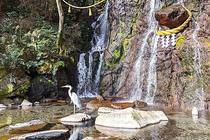 Private Hakone Tour - View of Mt. Fuji, Nature and Culture - Lake Ashi by sightseeing boat