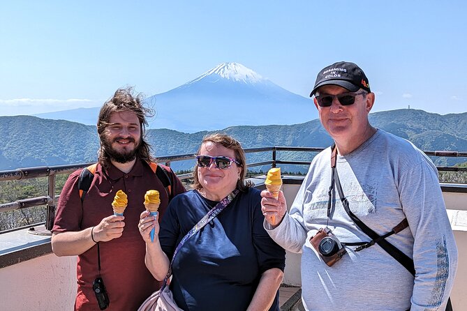 Private Hakone Tour - View of Mt. Fuji, Nature and Culture - Riding the Hakone Ropeway above the volcano