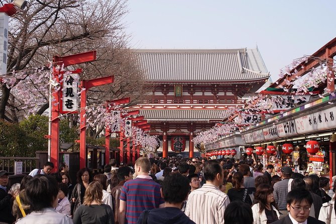 Private Japanese Sample Food Making and Asakusa History Tour - Cancellation and other details to confirm