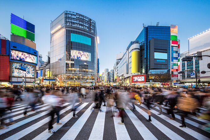 Private Layover Experience in Luxury SUV (5-6 Hours) - Akihabara for anime, manga, and electronics