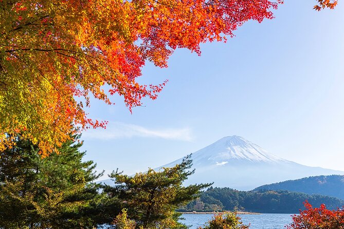 Private Mount Fuji and Hakone City Tour In luxury car from Tokyo - Lake Kawaguchiko: one hour for Fuji views and free time