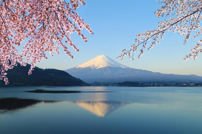 Private Mount Fuji and Hakone sightseeing Day trip with guide - Key points to know before booking