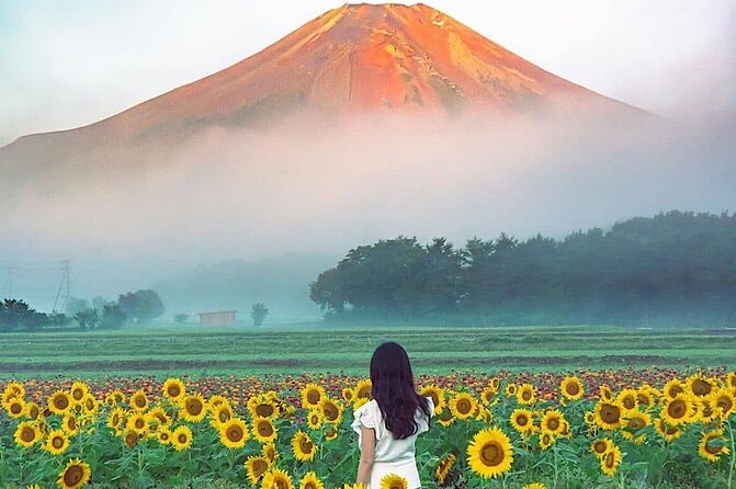 Private Mount Fuji and Hakone sightseeing Day trip with guide - The 5th Station: getting close to the mountain