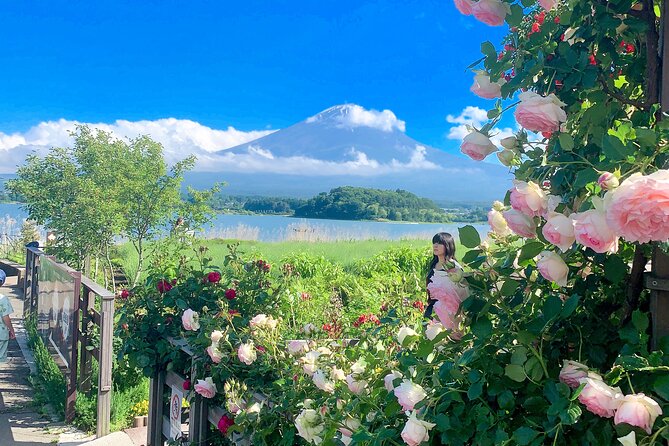 Private Mount Fuji and Hakone sightseeing Day trip with guide - Shrines and Chureito Pagoda: the cultural side of Fuji