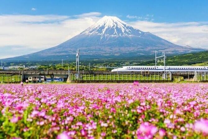 Private Mount Fuji and Hakone sightseeing Day trip with guide - Saiko Iyashi no Sato Nenba and a glimpse of old Japan