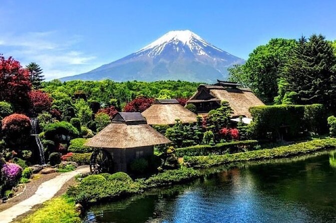 Private Mount Fuji and Hakone sightseeing Day trip with guide - Choosing between Fuji only and Fuji plus Hakone