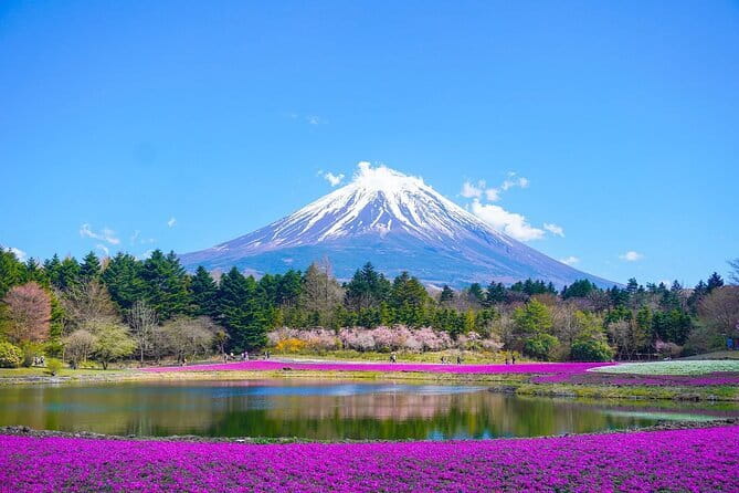 Private Mount Fuji Tours with Car Pickup from Tokyo - Key points at a glance