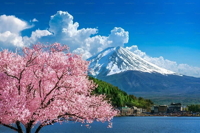Private Mount Fuji Tours with Car Pickup from Tokyo - Why a private Mount Fuji day can make sense