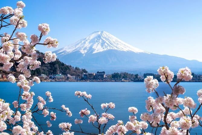 Private Mount Fuji Tours with Car Pickup from Tokyo - Oishi Park and the lake-and-mountain view