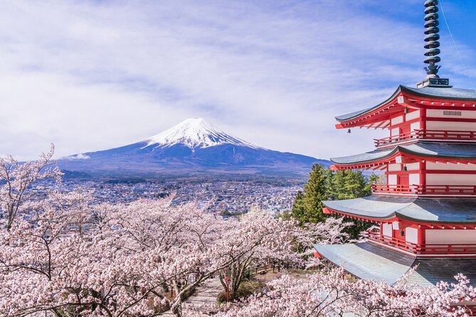 Private Mt. Fuji Custom Tour from Tokyo - Mt. Fuji views depend on timing and weather