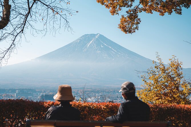 Private Mt Fuji, Hakone and Tokyo Tour - English Speaking Driver - Owakudani’s volcanic valley and black eggs