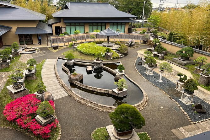 Private Omiya Bonsai Village Tour with Licensed Guide - Key points to know before booking