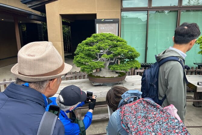 Private Omiya Bonsai Village Tour with Licensed Guide - Why Omiya Bonsai Village is worth the train ride
