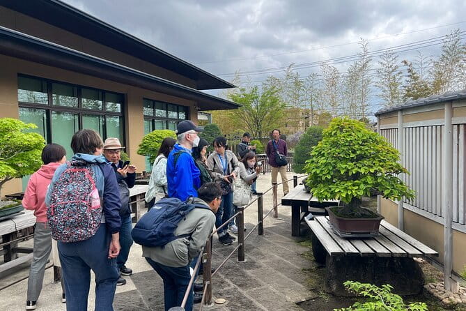 Private Omiya Bonsai Village Tour with Licensed Guide - Buying a bonsai plant as a souvenir