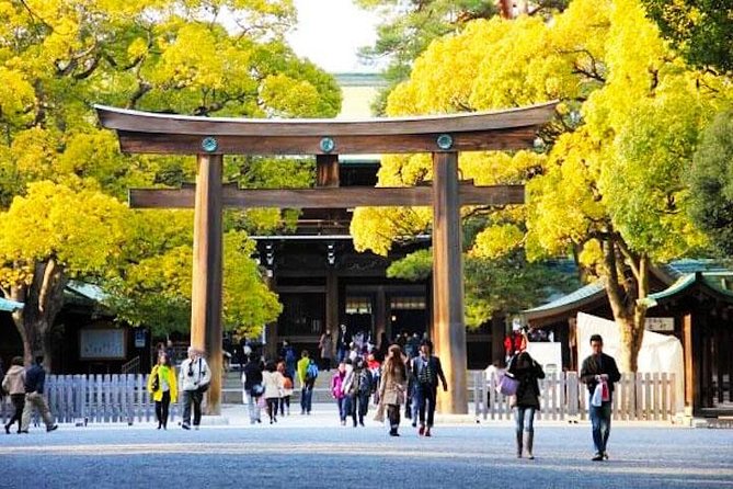 Private Tokyo Custom Full-Day Tour by Chartered Vehicle - A private vehicle makes Tokyo easier to grasp