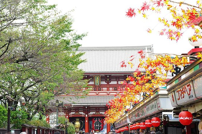 Private Tokyo Custom Full-Day Tour by Chartered Vehicle - Guide and driver service are central to the experience