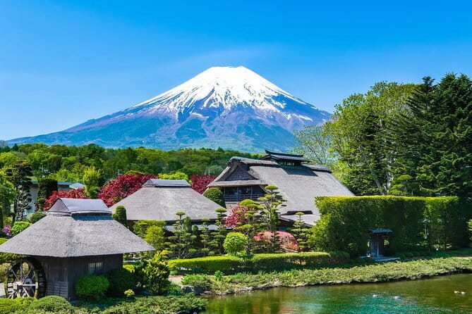 Private Tour : Experience Old Tokyo: Cultural Walk in Yanaka Nezu - Booking Details That Matter