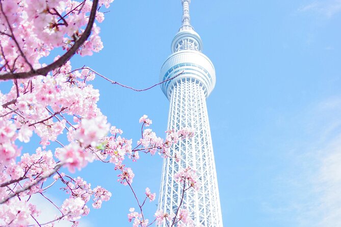 Private Tour in Tokyo with English speaking driver - Ueno Park works best for a seasonal visit