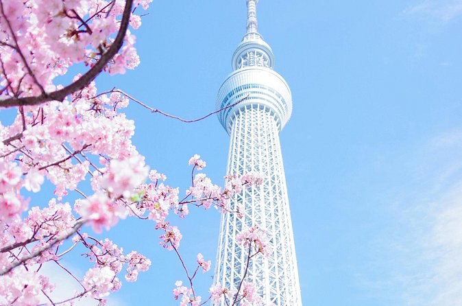 Private Tour in Tokyo with English speaking driver - The Imperial Palace gardens connect Tokyo to Edo