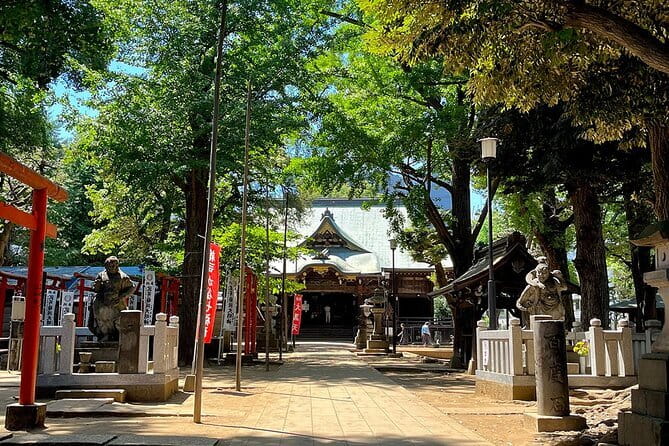 Private Tour in Tokyo with Local Guide - Seeing Shibuya from the crossing to Hachiko