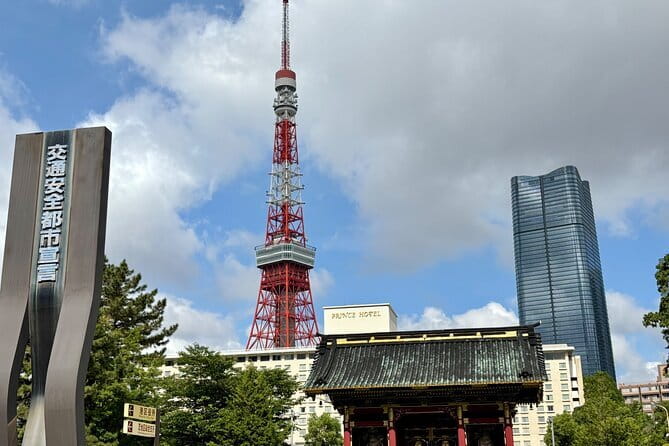 Private Tour in Tokyo with Local Guide - What the guide adds to the day