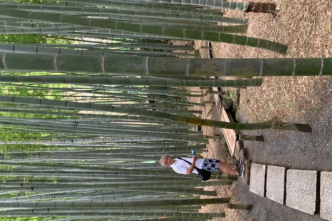 Private Tour Kamakura and Enoshima With Guide and photographer - Hokoku-ji and its bamboo grove