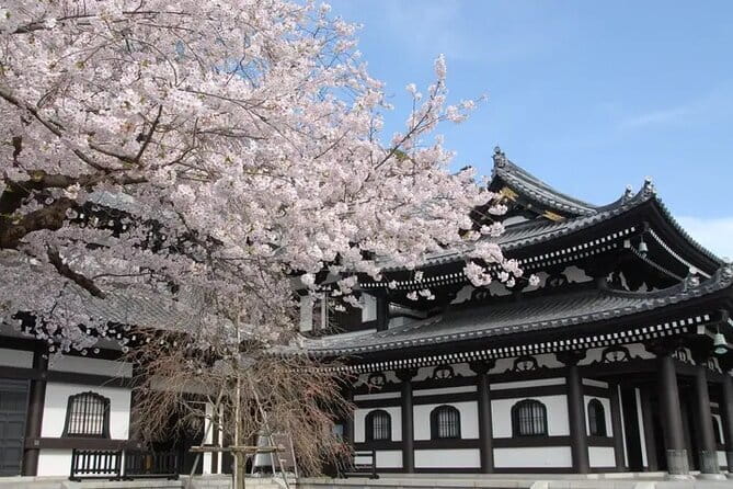 Private Tour Kamakura Yokohama Day Trip English speaking driver - Hase-dera’s Kannon and hillside views