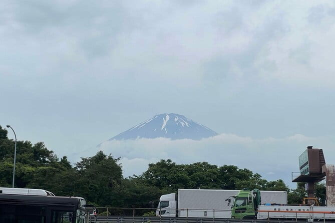 Private tour - Scenic Fuji Escape: Hakone, Peace Park & More - Chureito Pagoda and the 398-step climb