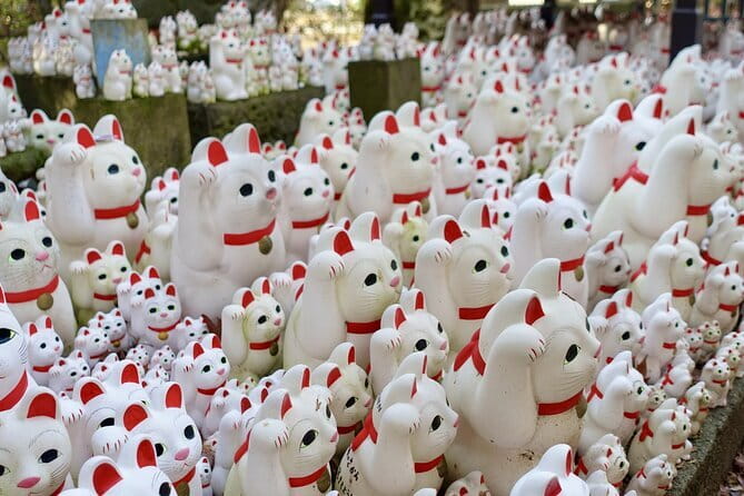Private Tour - Thousands of lucky cats! Go by tram, Gotokuji Tour - Key points at a glance