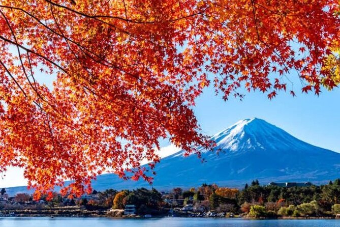 Private tour to Mount Fuji with an English driver from Tokyo - Yamanashi and the towns around the mountain